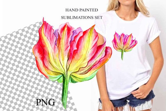 Watercolor Tulips Hand Drawn: A Fresh Take on Floral Design Assets